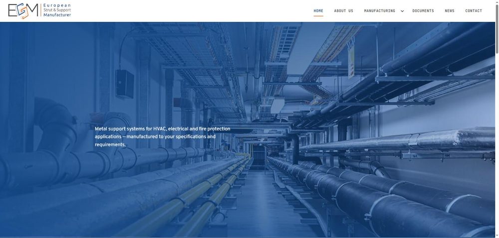 ESM — European Strut & Support Manufacturer